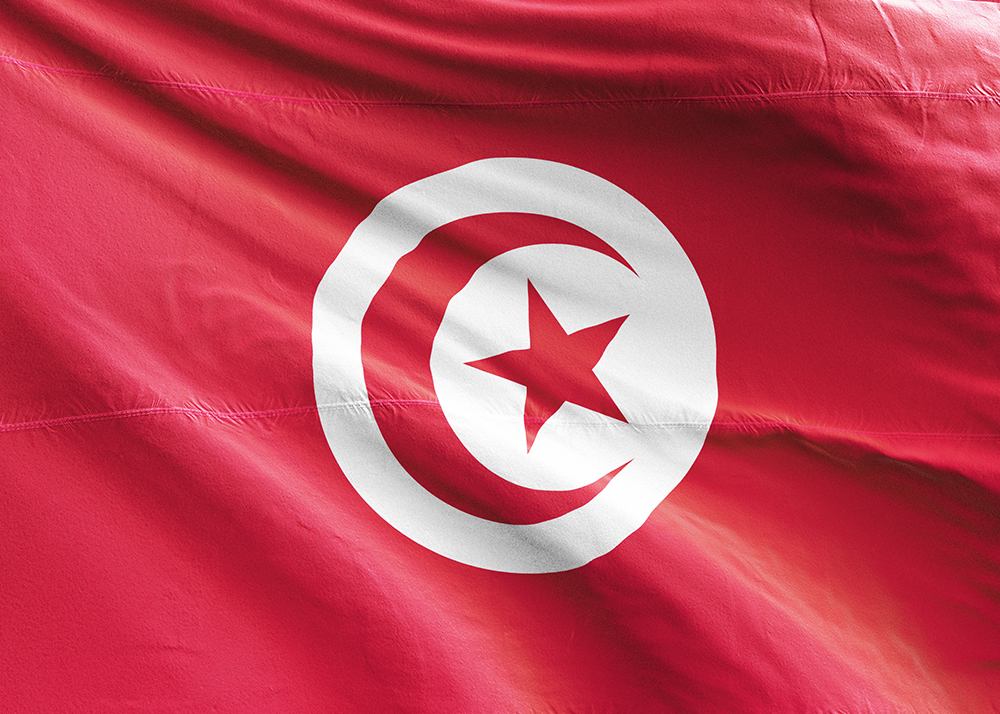 Tunus Arapçası Seslendirme